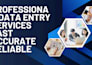 professional dataentry onlinewriting webresearch